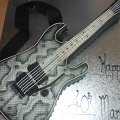 snakeskin guitar